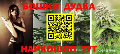 винт Обь