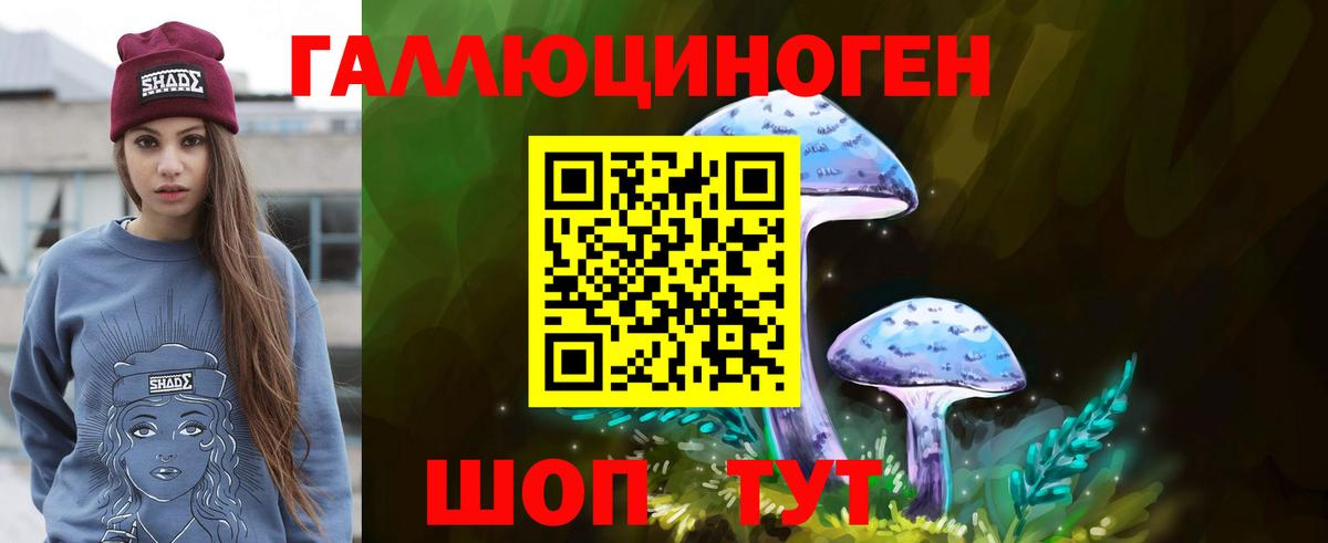 Галлюциногенные грибы Cubensis  хочу наркоту  Псилоцибиновые грибы Psilocybine cubensis  Сергиев Посад  Вход с VPN 